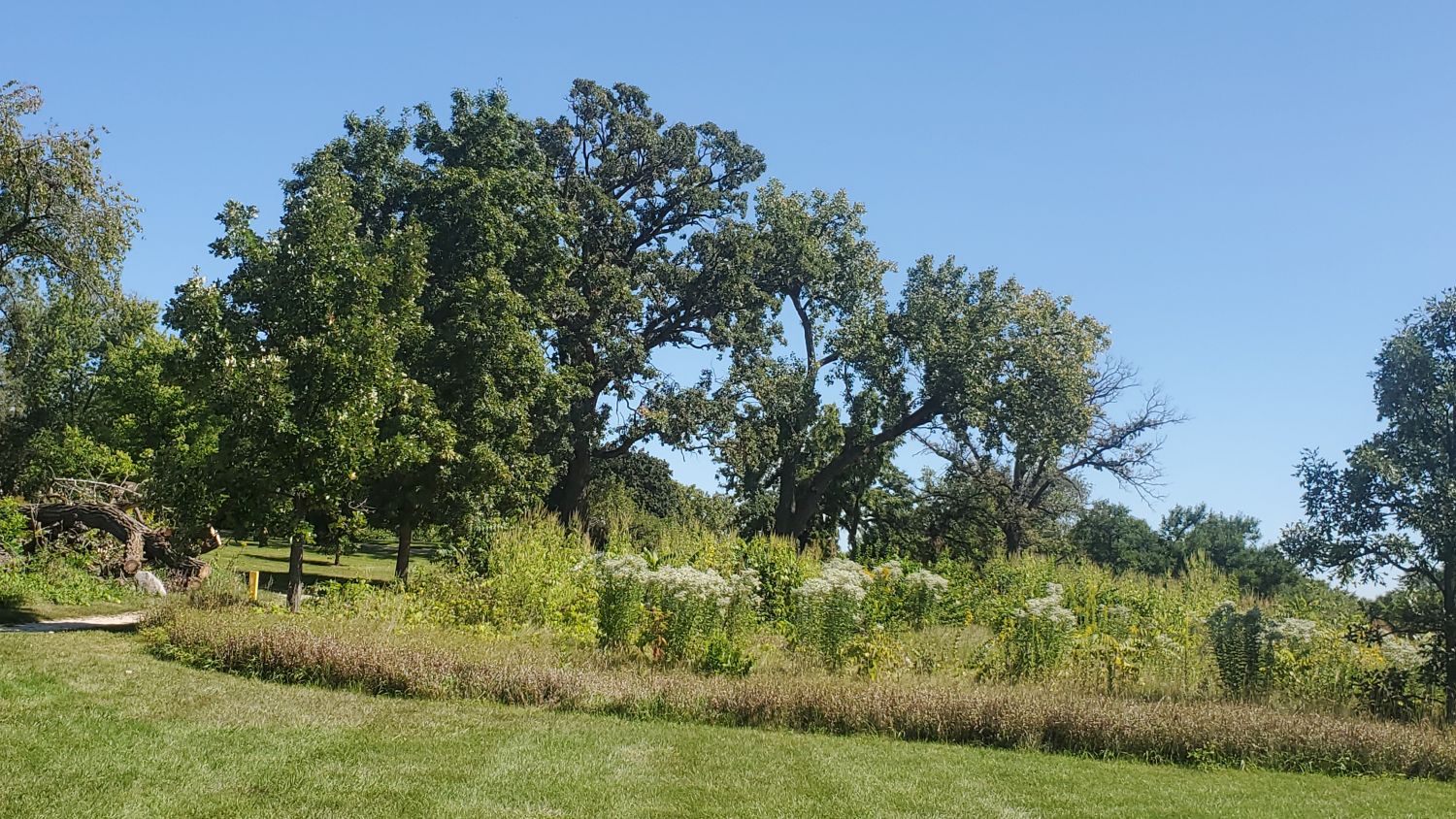 James O'Breen Nature Area 